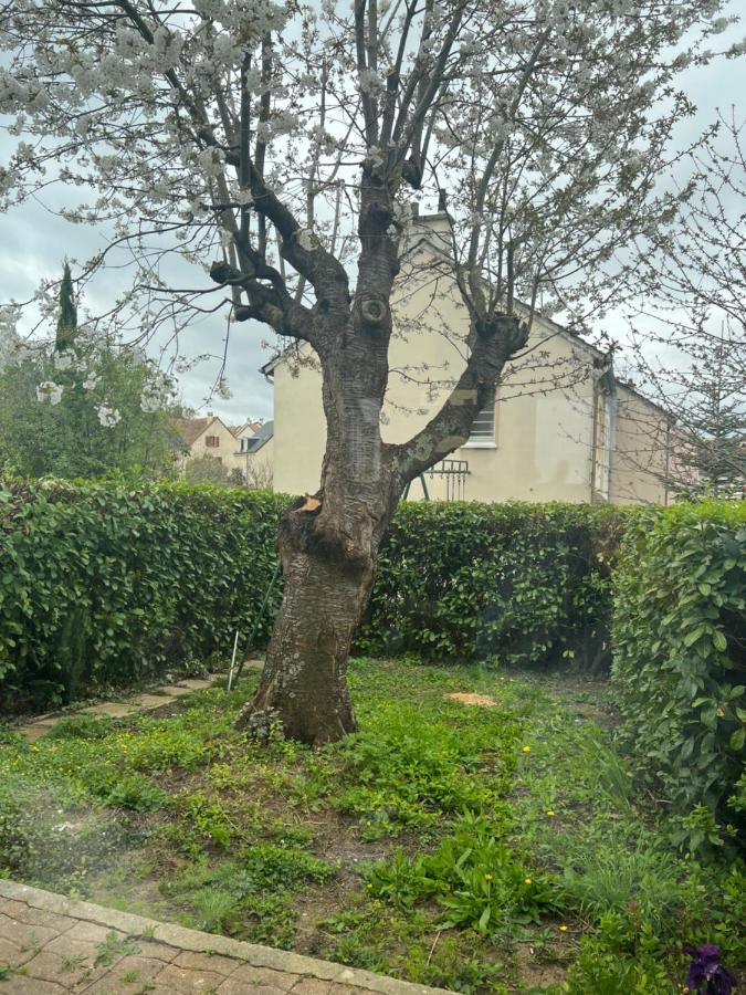 Maison Familiale, Quartier Calme Le Mans Dış mekan fotoğraf
